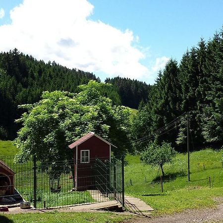 Ferienwohnung Ringwald Biederbach Exterior photo
