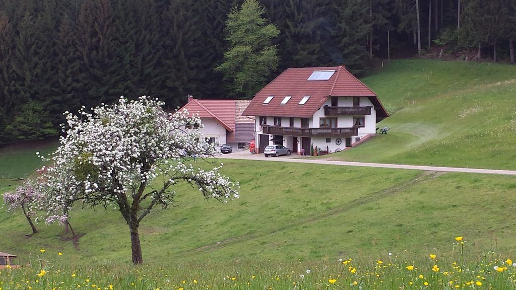 Ferienwohnung Ringwald Biederbach Exterior photo